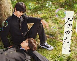 快排seo哪家服务好